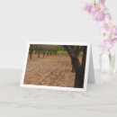 Search for almonds cards Trees