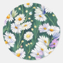 Search for field of flowers stickers Daisies