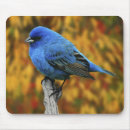 Search for bunt mousepads Fauna