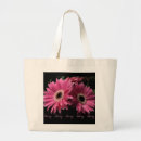 Search for gerber photography Daisies