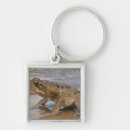 Search for reserve key rings Full length