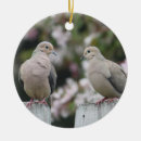 Search for mourning doves christmas tree decorations Zenaida macroura