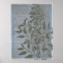 Search for fleurs posters Botanical
