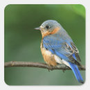 Search for blur stickers Animal