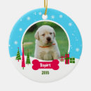 Search for winter wonderland christmas tree decorations Dog