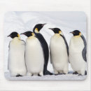 Search for conform mousepads Wildlife