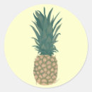 Search for fresh pineapple stickers Fruit