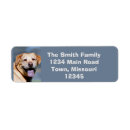 Search for monarch butterfly return address labels Summer