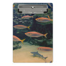 Search for photo clipboards Sea