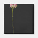 Search for single rose magnets Stem