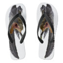 Search for alligator thongs Reptile
