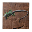 Search for lizard tiles Desert