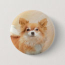 Search for chihuahua badges Fawn