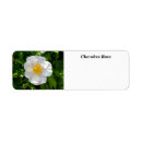 Search for rose flower return address labels Bloom