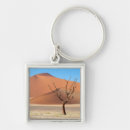 Search for plains key rings Africa