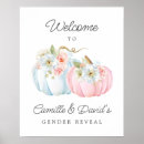 Search for pink and blue pumpkin He or she