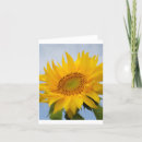 Search for blank sunflower cards Flowers