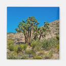Search for national monument magnets Mesquite