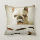 Search for french bulldog nursery decor Pet