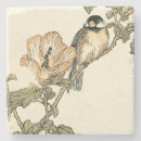 Search for oriental coasters Bird