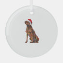 Search for rhodesian ridgeback christmas tree decorations Puppy