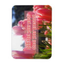 Search for steal magnets Quote