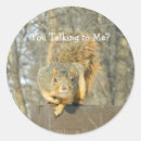 Search for round squirrel stickers Humour