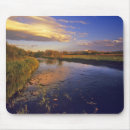 Search for jacksons mousepads Scenic