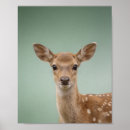 Search for deer nursery decor Baby deer fawn
