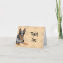 Search for herding group Pet