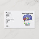 Search for thinking business cards Brain