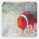Search for great barrier reef stickers Stuart westmorland