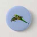 Search for parakeet badges Animal