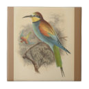 Search for illustrations tiles Cottagecore