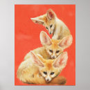 Search for fennec fox posters Wildlife