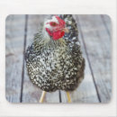Search for one year electronics Bird watching