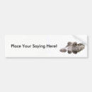 Search for crocodile bumper stickers Animal