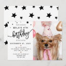 Search for dog invitations Party