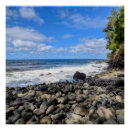 Search for hawaiian posters Landscape