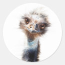 Search for art stickers Bird