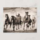 Search for chasing postcards Animal