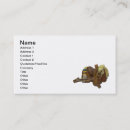 Search for side saddle Rider