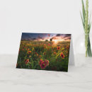 Search for blankets cards Flower