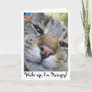Search for hungry cards Cute