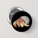 Search for sea shells badges Watercolor