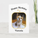 Search for calico kitten cards Pet