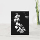 Search for white flowers sympathy thank you cards Simple