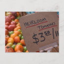 Search for heirloom postcards Tomatoes