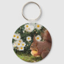 Search for squirrel key rings Cute animals