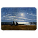 Search for homer magnets Nature